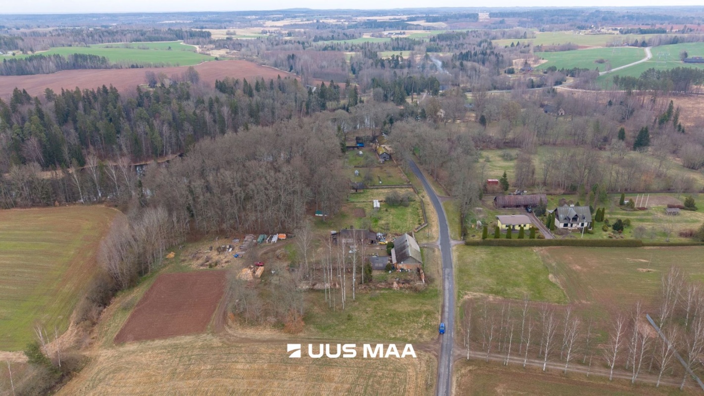 Kambja vald, Suure-Kambja küla, Sinilille