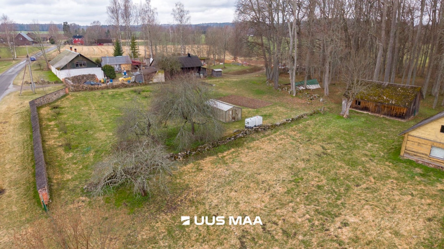 Kambja vald, Suure-Kambja küla, Sinilille