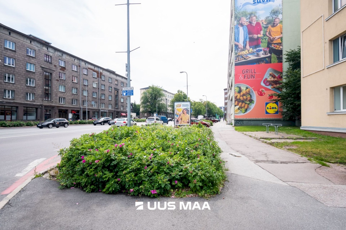 Tallinn, Kesklinna linnaosa, Sibulaküla, Liivalaia 29