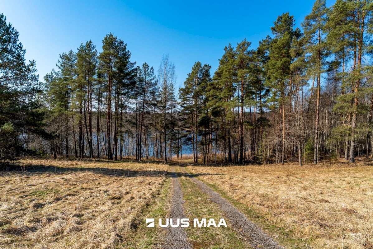 Mulgi vald, Päigiste küla, Rehemäe