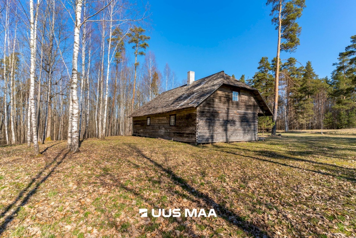 Mulgi vald, Päigiste küla, Rehemäe