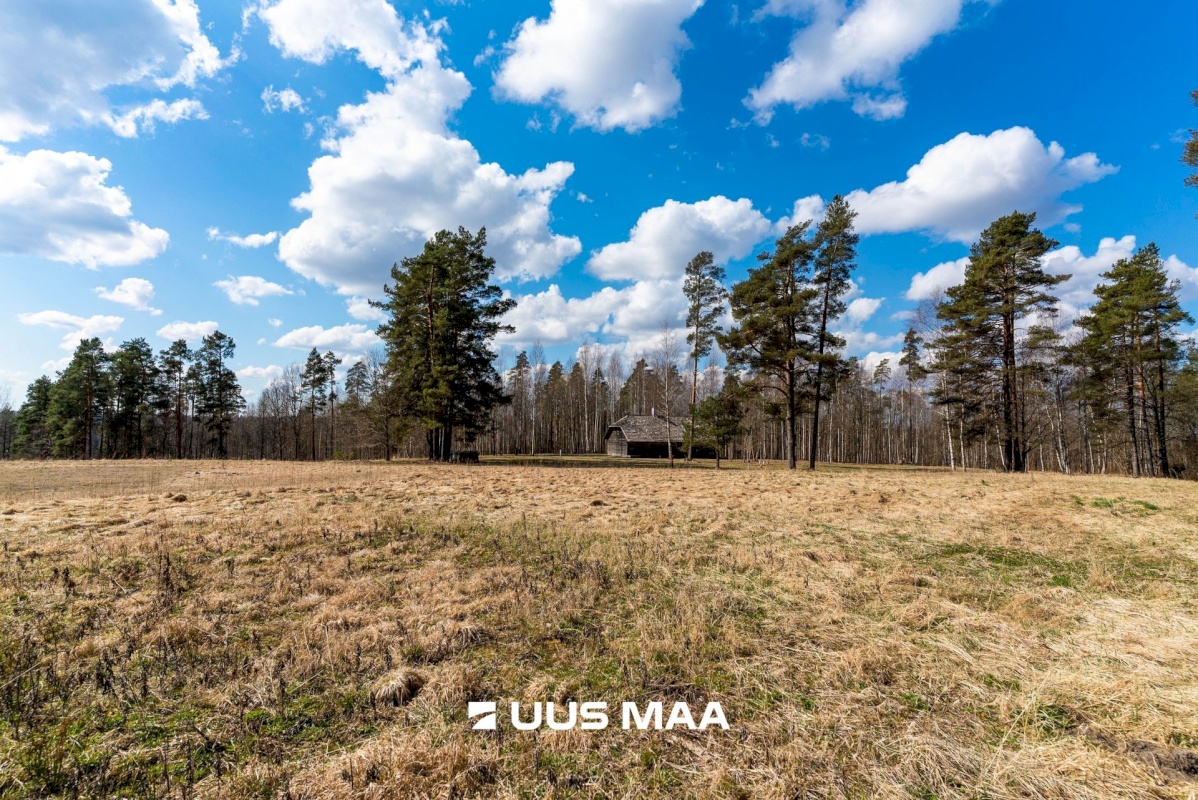 Mulgi vald, Päigiste küla, Rehemäe