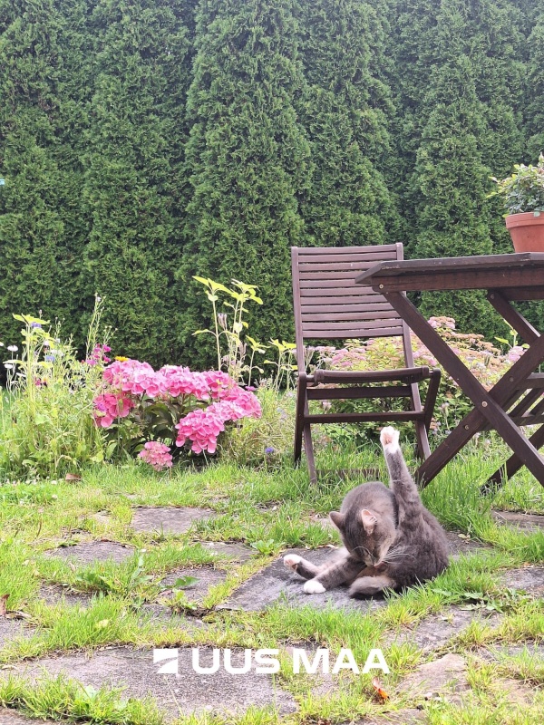 Tori vald, Kilksama küla, Haaviku tee 7
