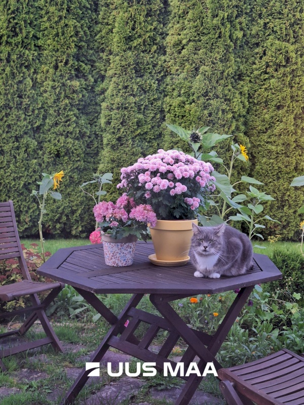 Tori vald, Kilksama küla, Haaviku tee 7