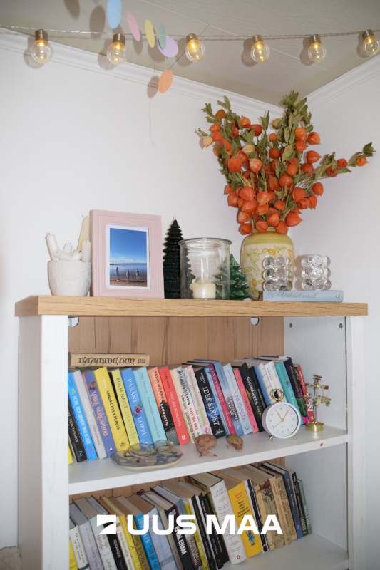 Tori vald, Kilksama küla, Haaviku tee 7