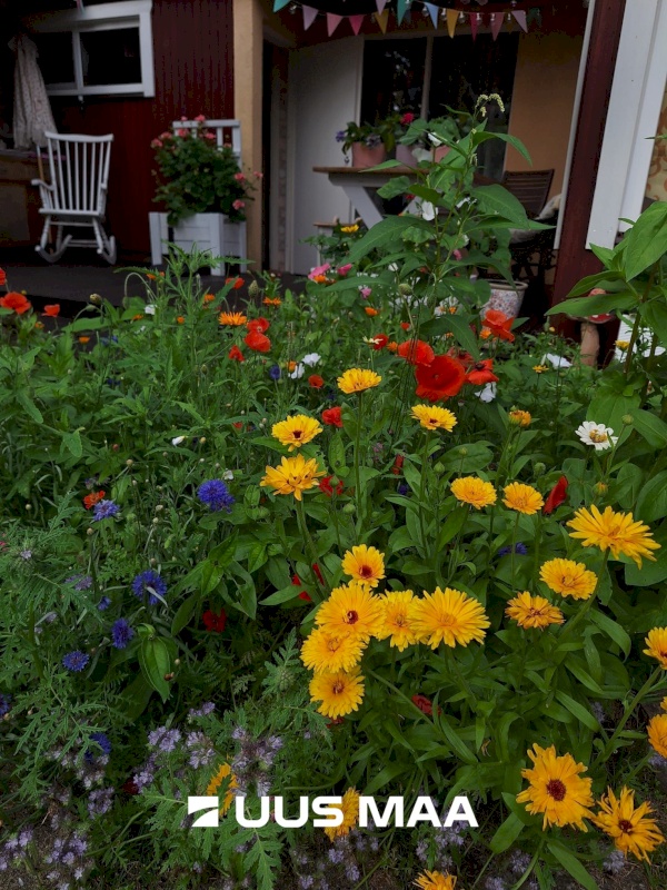 Tori vald, Kilksama küla, Haaviku tee 7