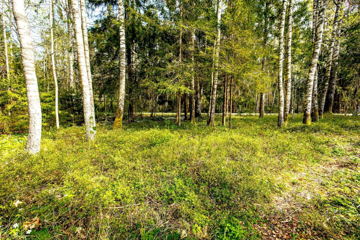 Kohila vald, Vilivere küla, Metsakodu 2