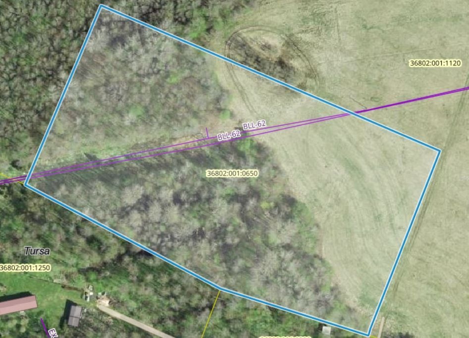 Hiiumaa vald, Luguse küla, Nurme