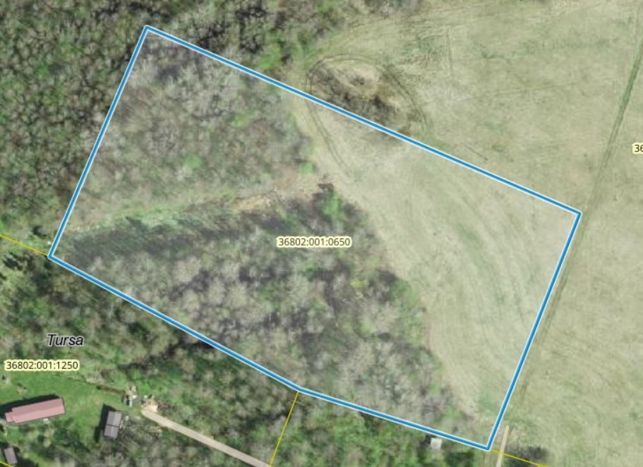 Hiiumaa vald, Luguse küla, Nurme