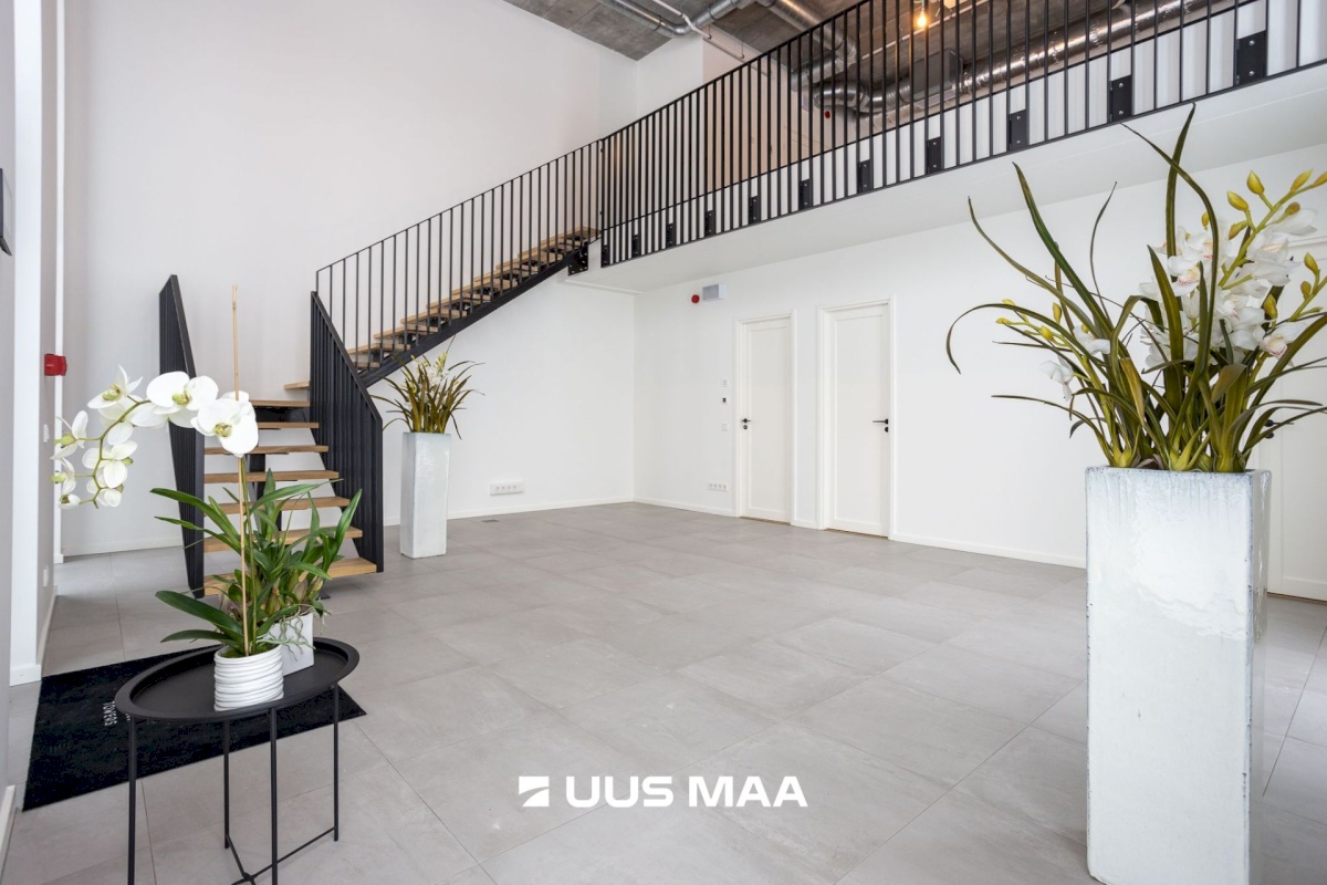 Tallinn, Haabersti linnaosa, Rocca al Mare, Päevalille tn 6-B3