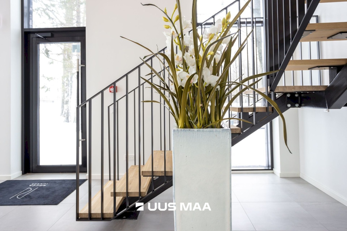 Tallinn, Haabersti linnaosa, Rocca al Mare, Päevalille tn 6