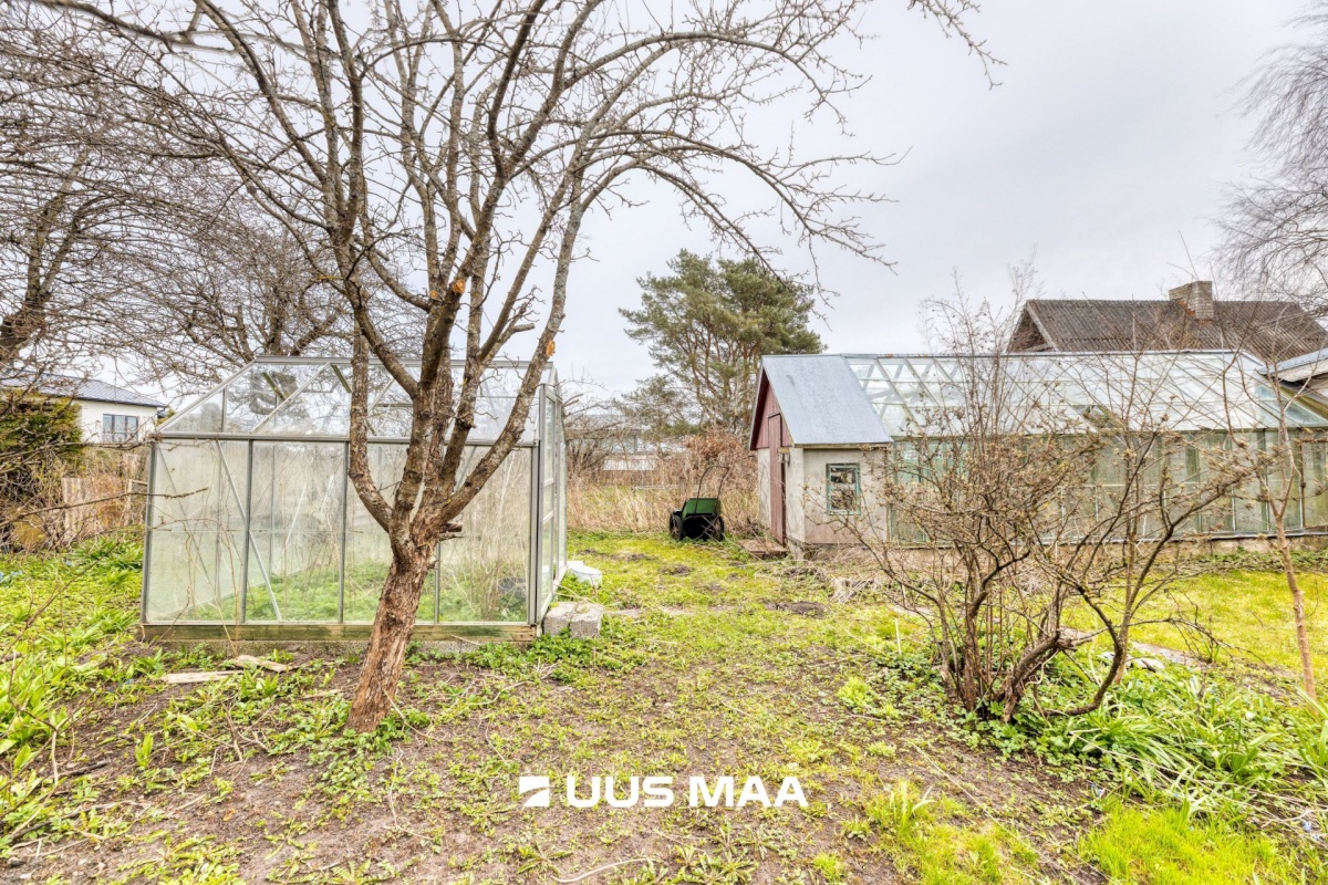 Viimsi vald, Randvere küla, Taru tee 9