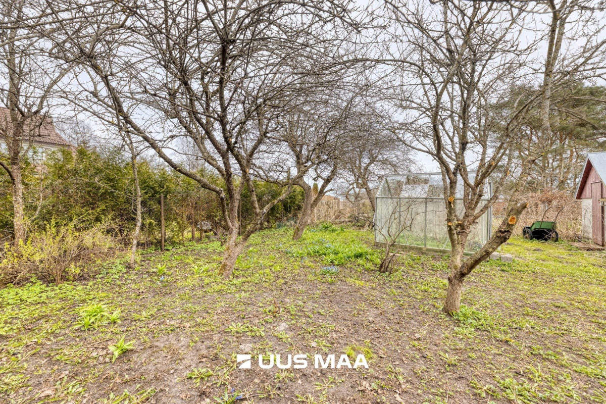 Viimsi vald, Randvere küla, Taru tee 9