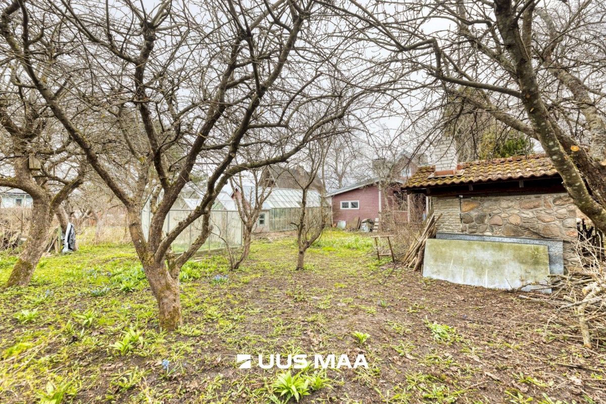 Viimsi vald, Randvere küla, Taru tee 9