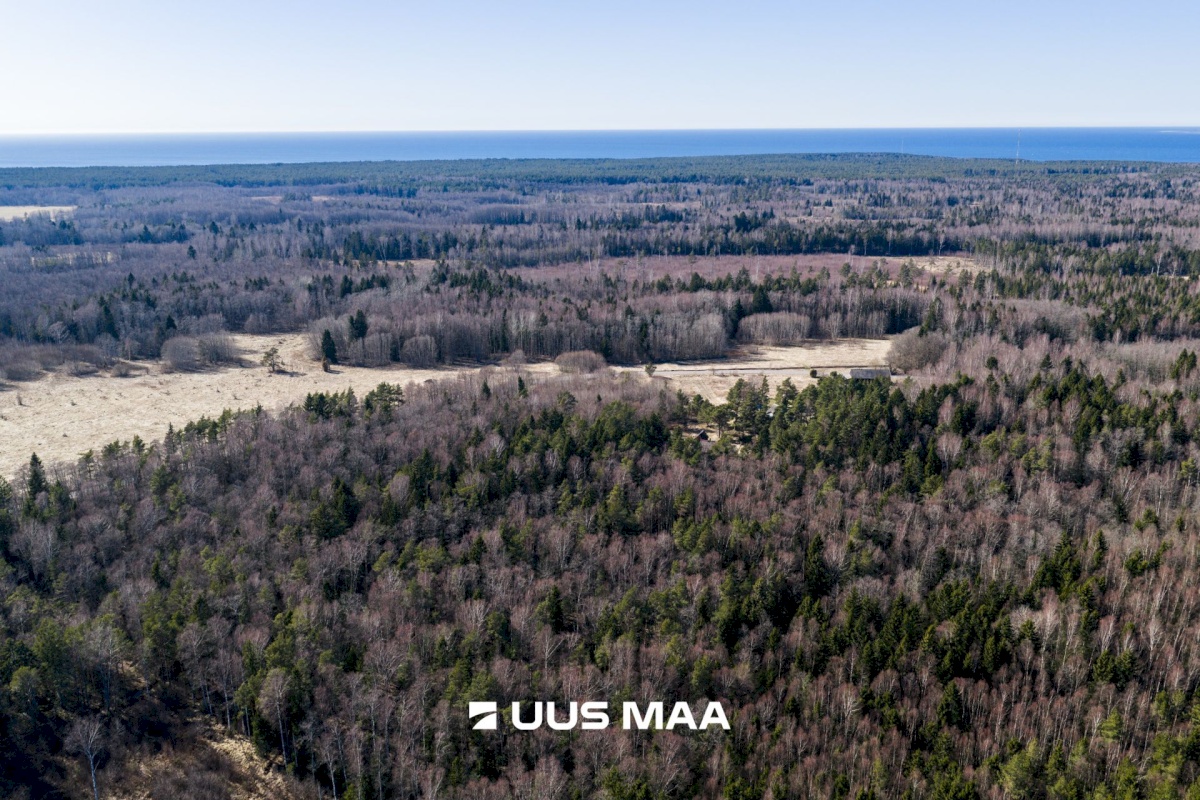 Lääne-Nigula vald, Tuksi küla/Bergsby