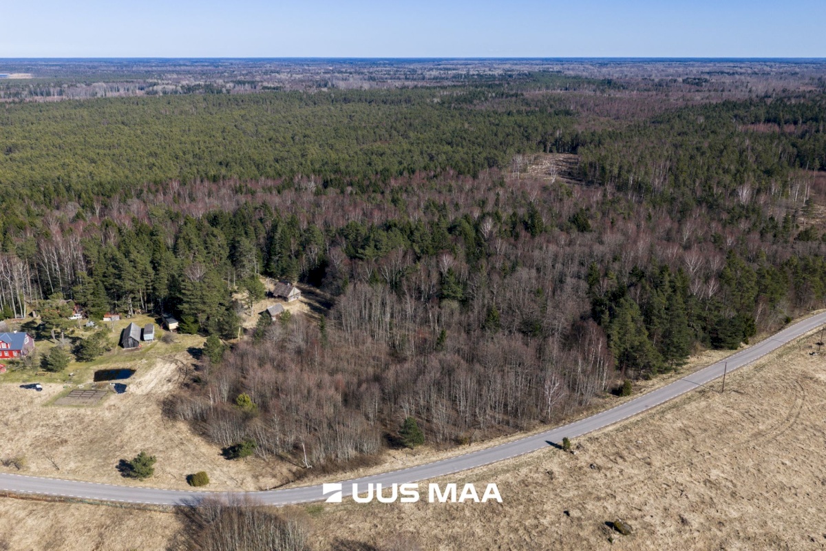 Lääne-Nigula vald, Tuksi küla/Bergsby