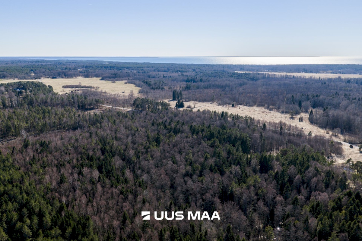 Lääne-Nigula vald, Tuksi küla/Bergsby