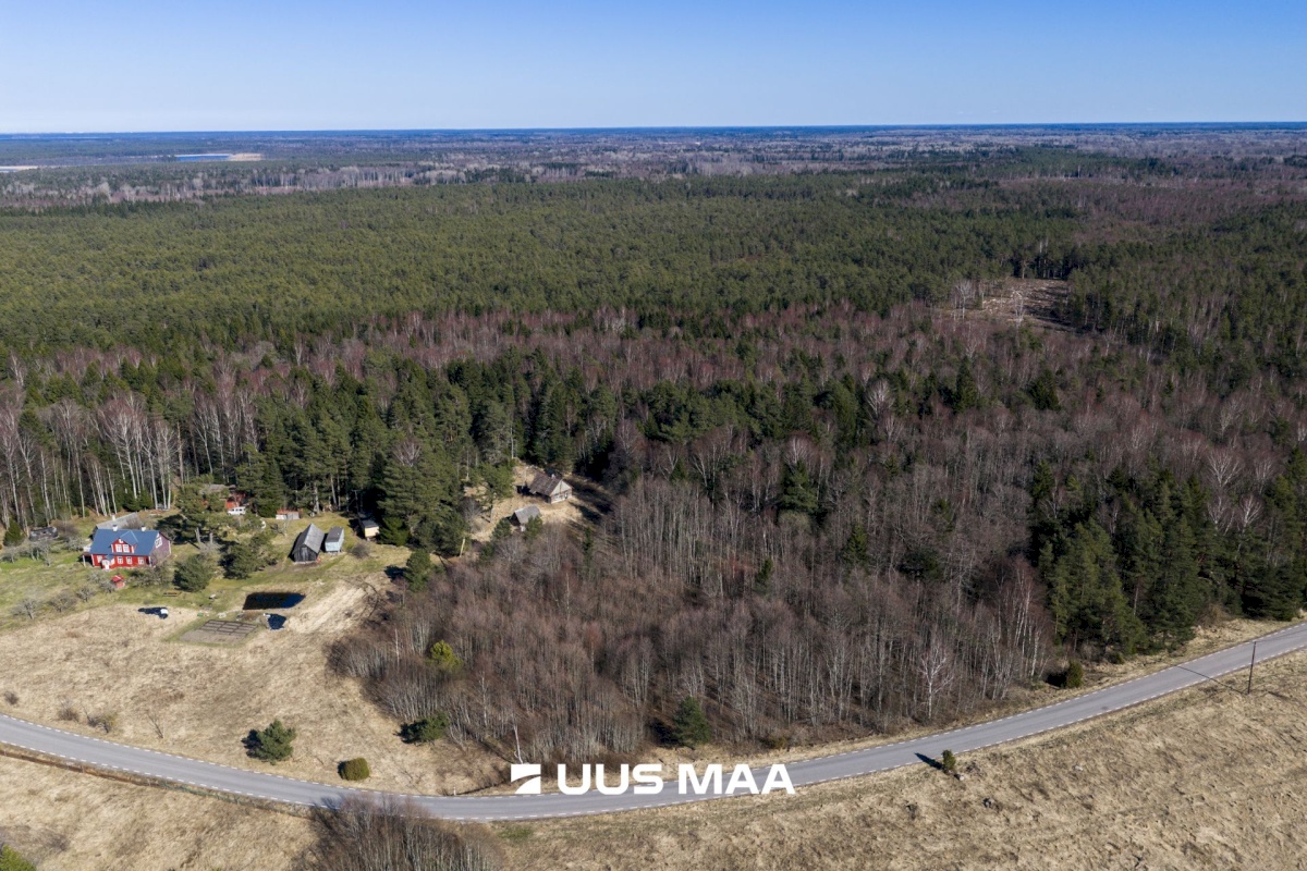 Lääne-Nigula vald, Tuksi küla/Bergsby