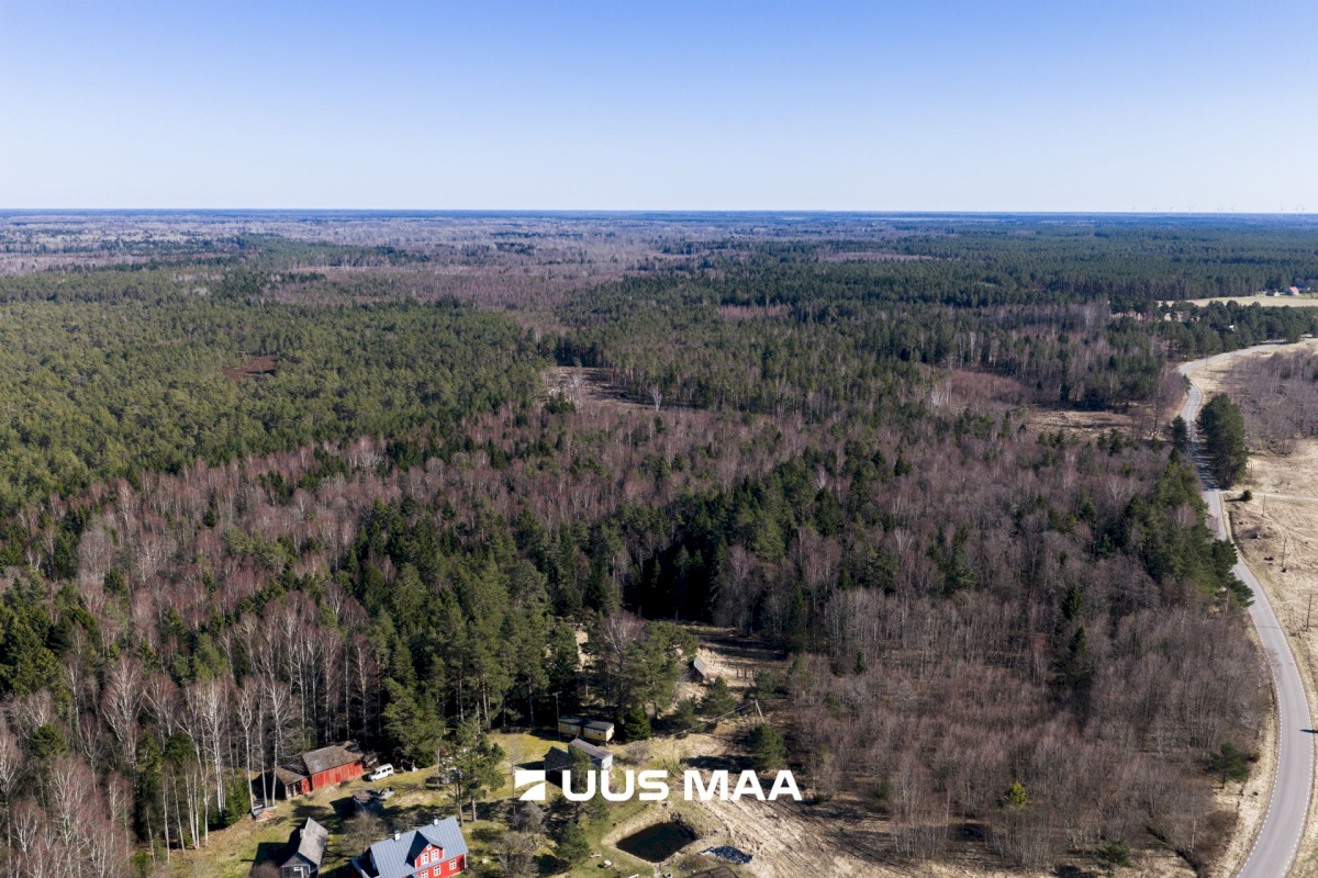 Lääne-Nigula vald, Tuksi küla/Bergsby