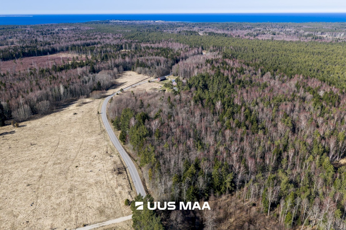 Lääne-Nigula vald, Tuksi küla/Bergsby