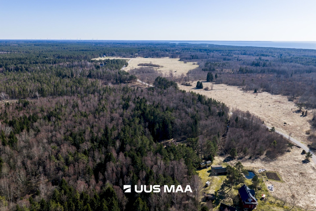 Lääne-Nigula vald, Tuksi küla/Bergsby