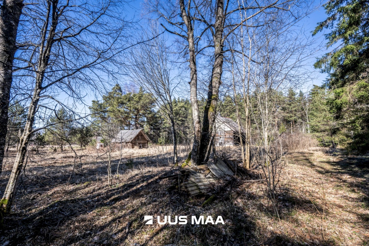 Lääne-Nigula vald, Tuksi küla/Bergsby