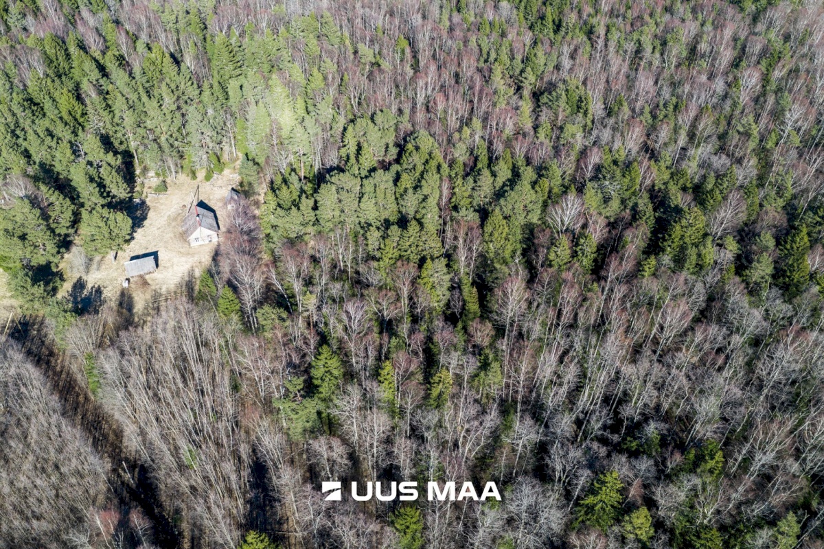 Lääne-Nigula vald, Tuksi küla/Bergsby