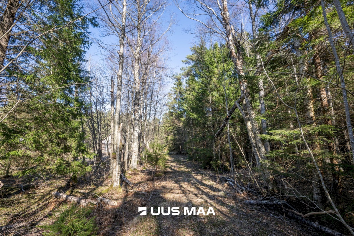 Lääne-Nigula vald, Tuksi küla/Bergsby