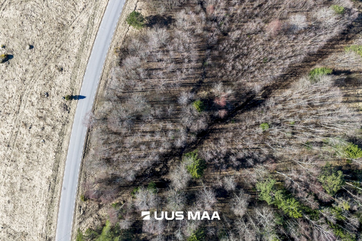 Lääne-Nigula vald, Tuksi küla/Bergsby