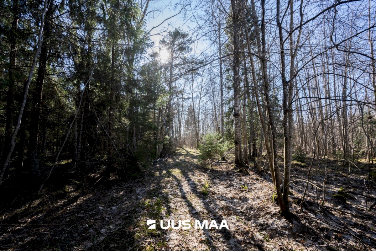 Lääne-Nigula vald, Tuksi küla/Bergsby