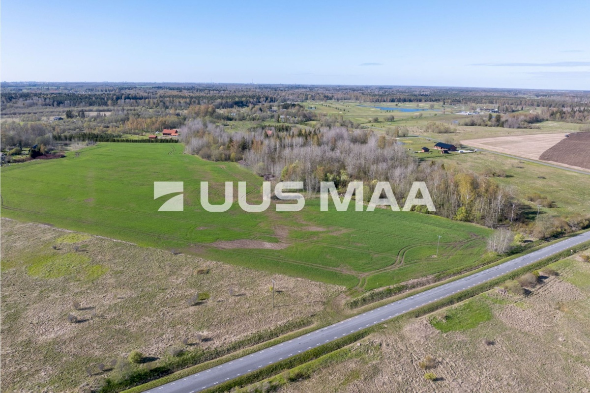 Rae vald, Suuresta küla, Vanatammi 14