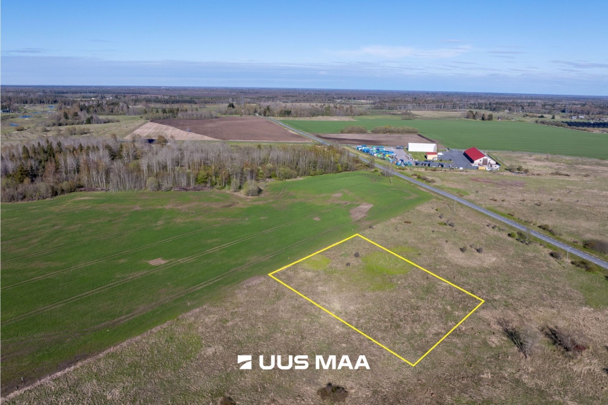 Rae vald, Suuresta küla, Vanatammi 14