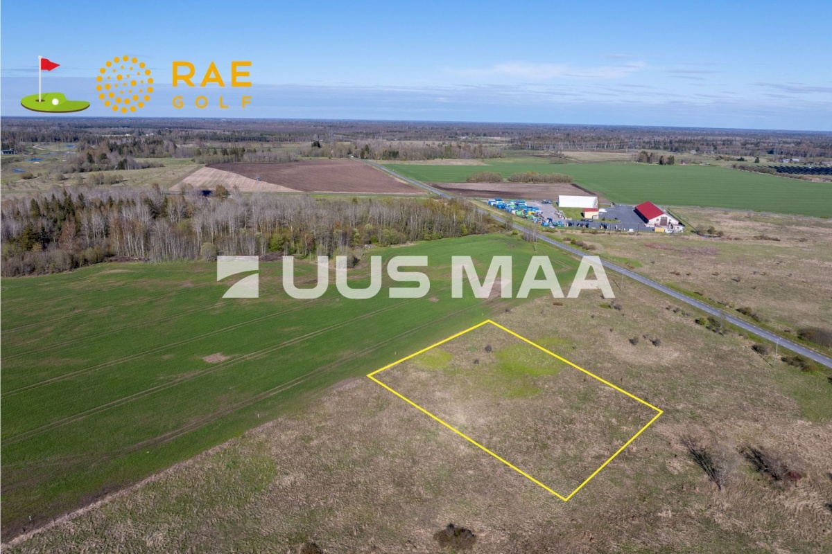 Rae vald, Suuresta küla, Vanatammi 14