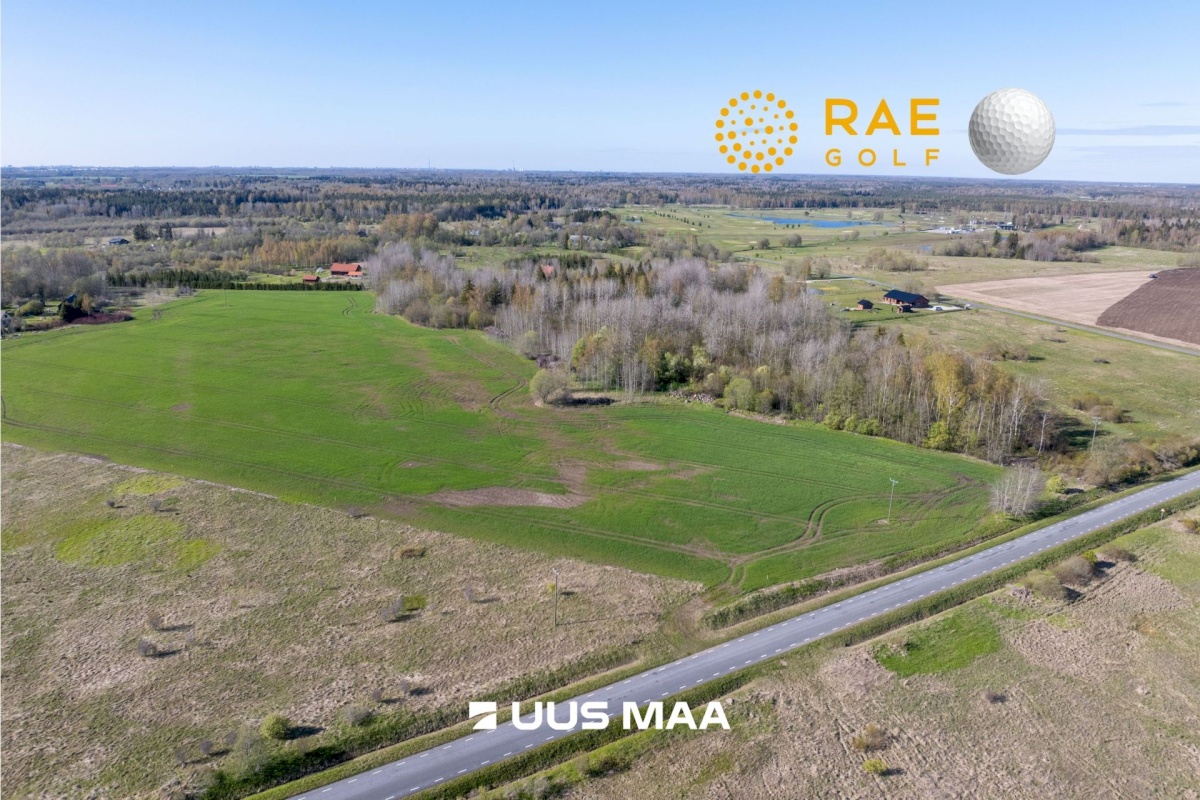Rae vald, Suuresta küla, Vanatammi 14