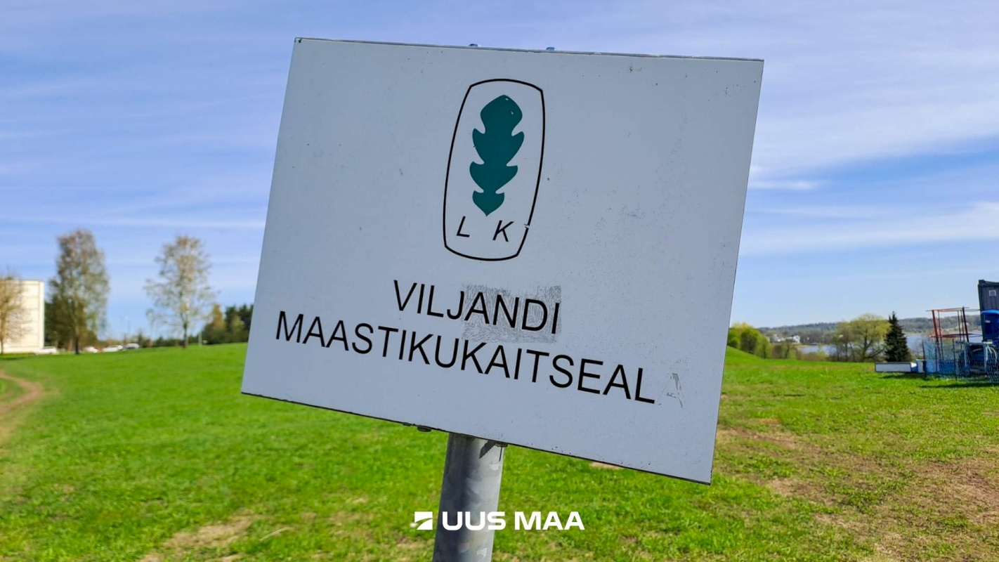 Viljandi linn, Männimäe, Riia mnt 71