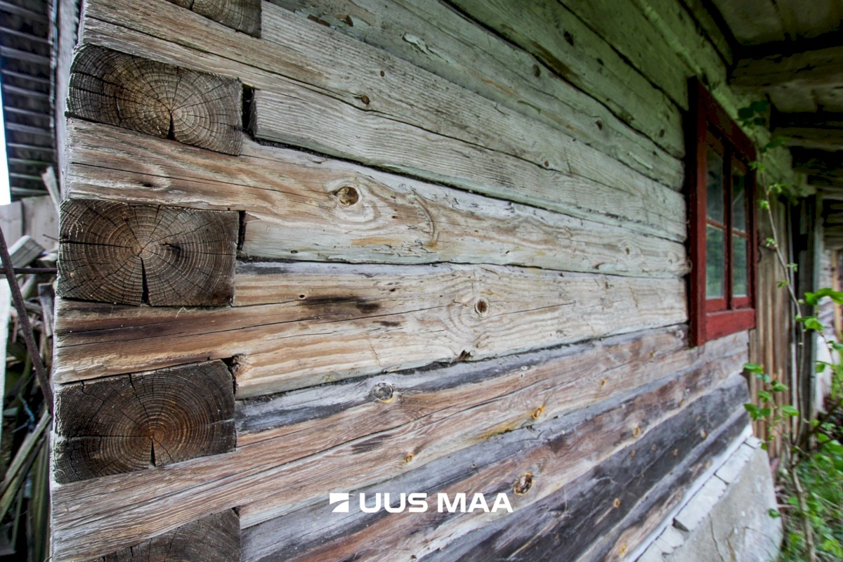 Tori vald, Jõesuu küla, Sepa