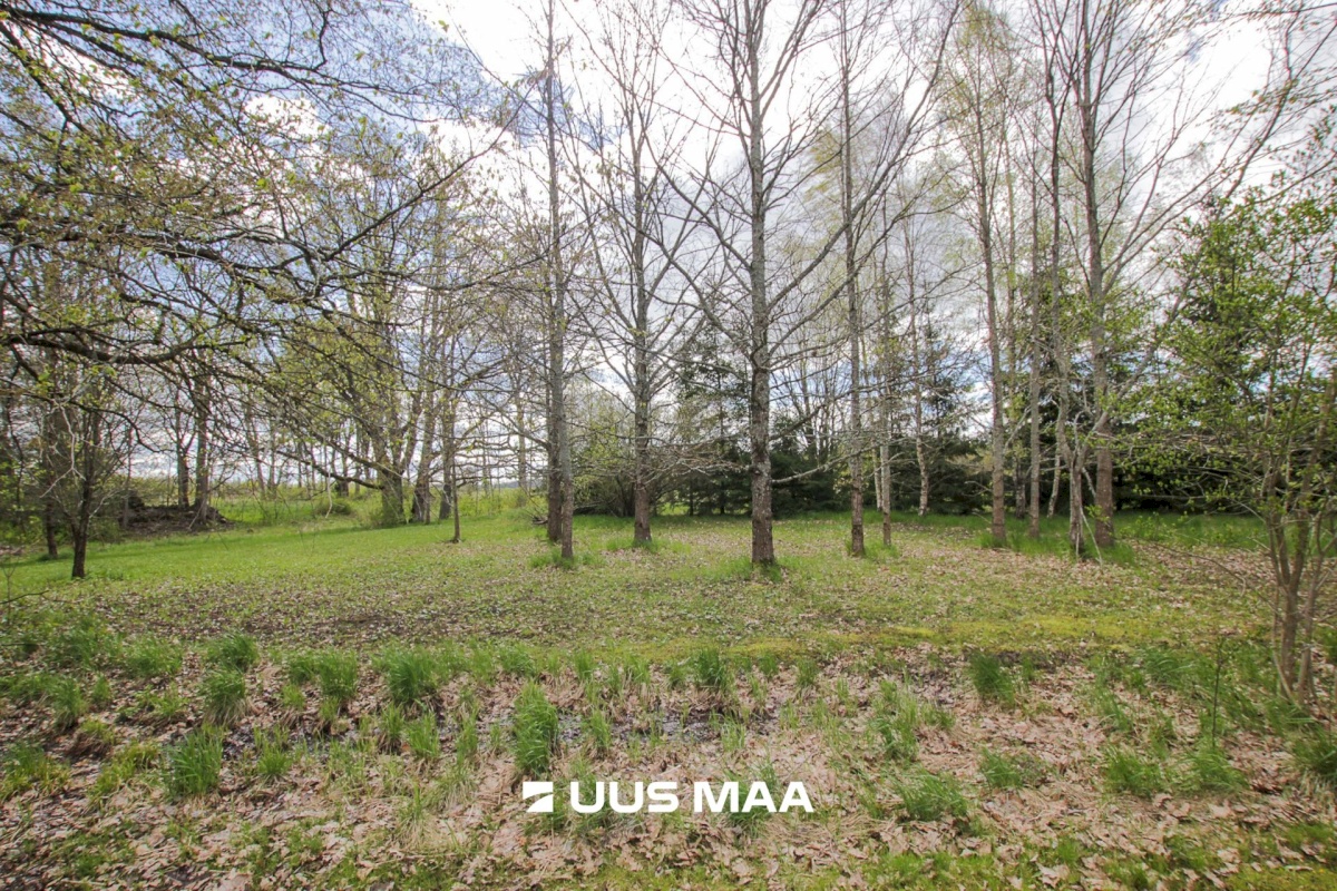 Tori vald, Jõesuu küla, Sepa