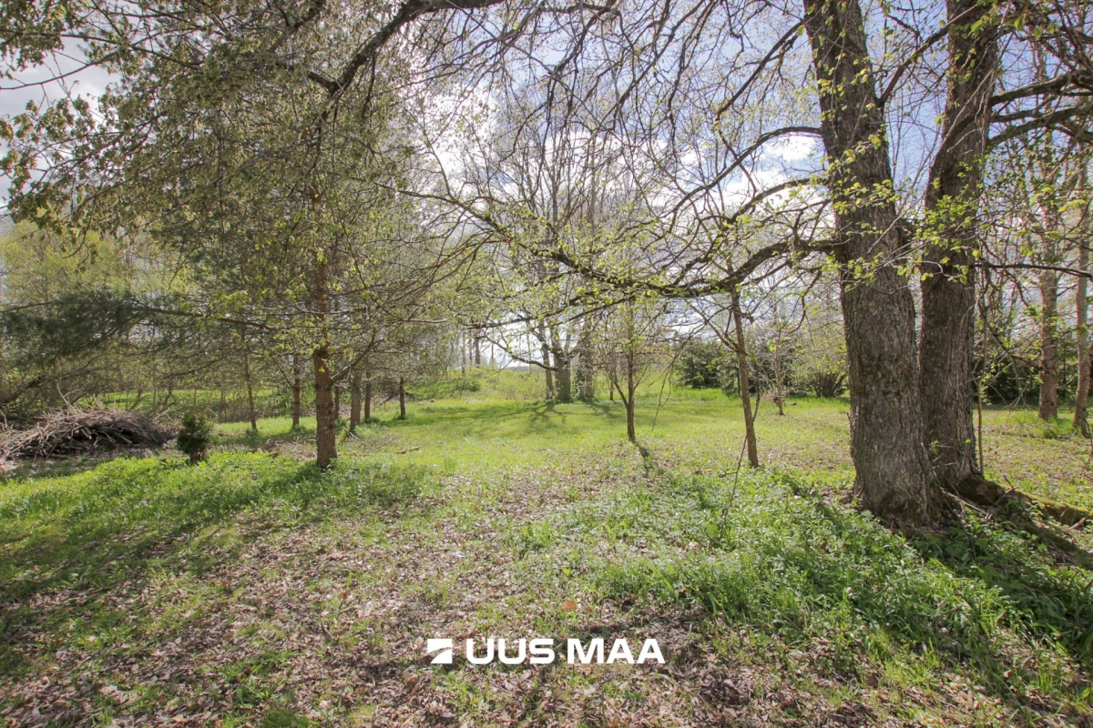 Tori vald, Jõesuu küla, Sepa