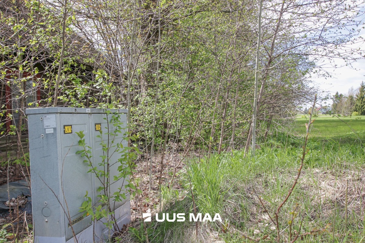 Tori vald, Jõesuu küla, Sepa