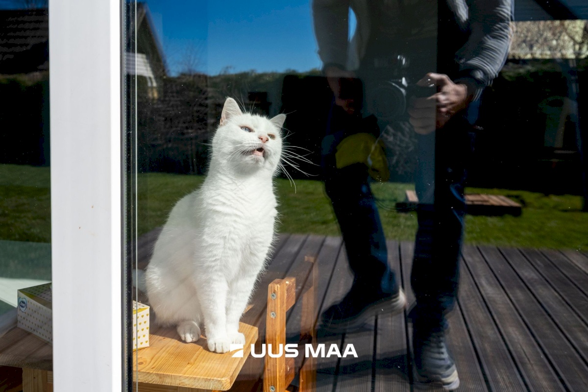 Harku vald, Viti küla, Meriroosi tee 4