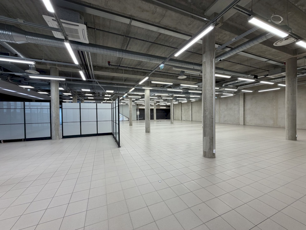 Saaremaa vald, Kuressaare linn, Merikotka 1