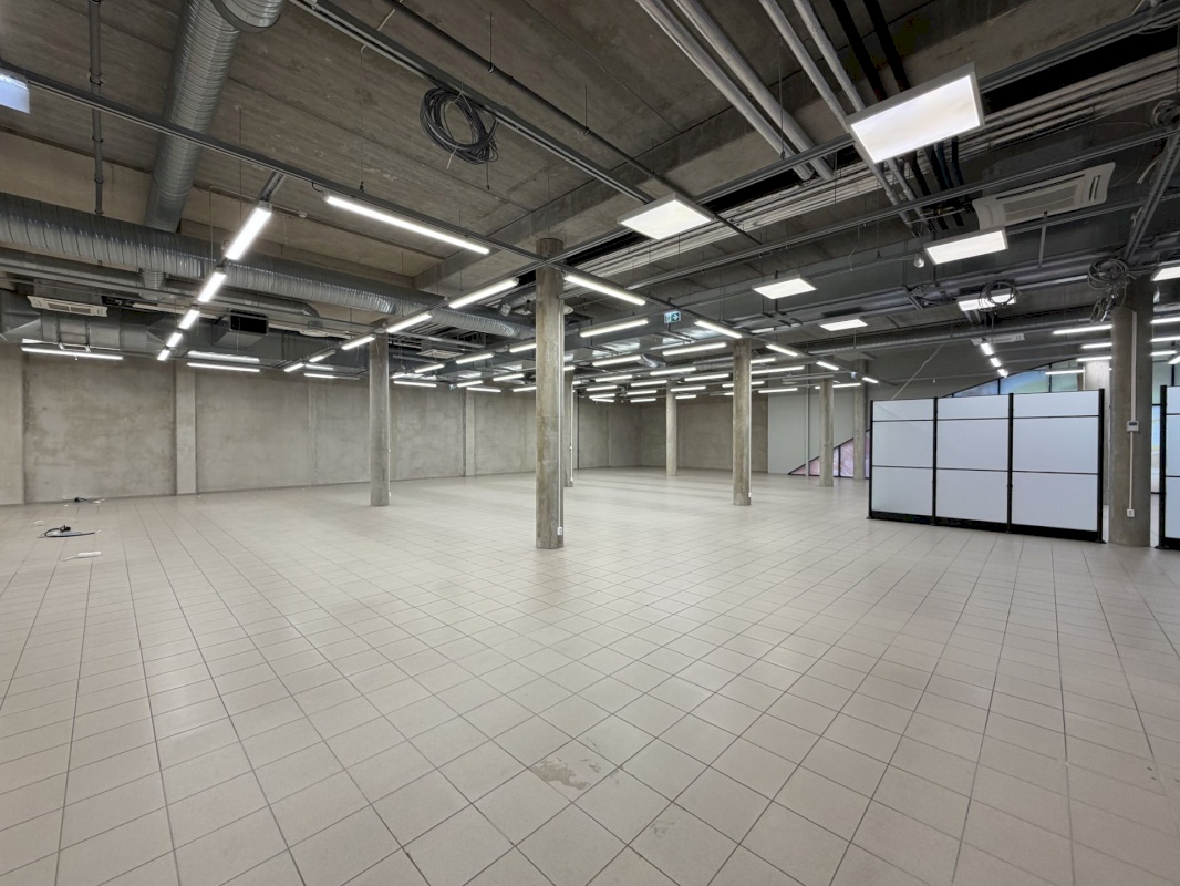 Saaremaa vald, Kuressaare linn, Merikotka 1