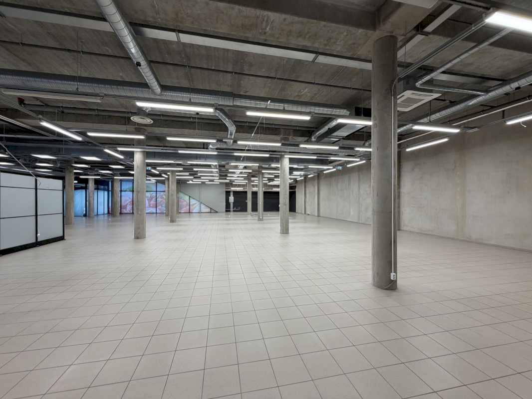 Saaremaa vald, Kuressaare linn, Merikotka 1