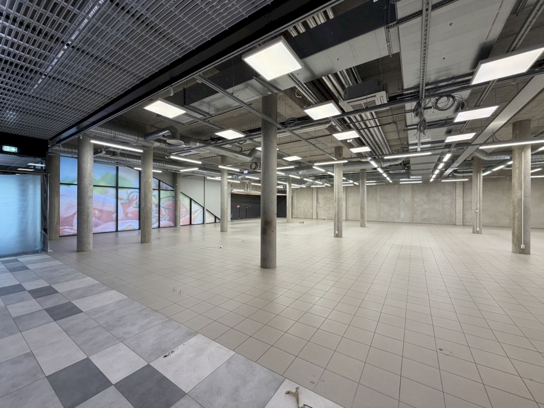 Saaremaa vald, Kuressaare linn, Merikotka 1