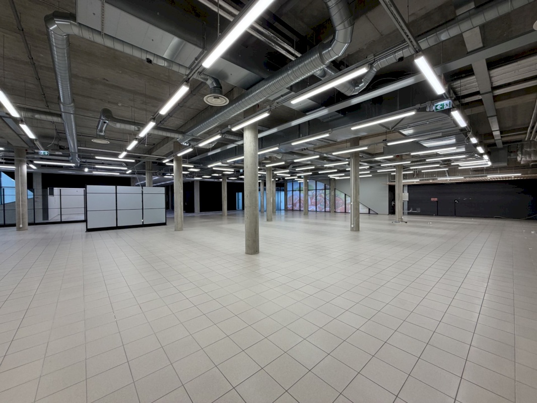 Saaremaa vald, Kuressaare linn, Merikotka 1