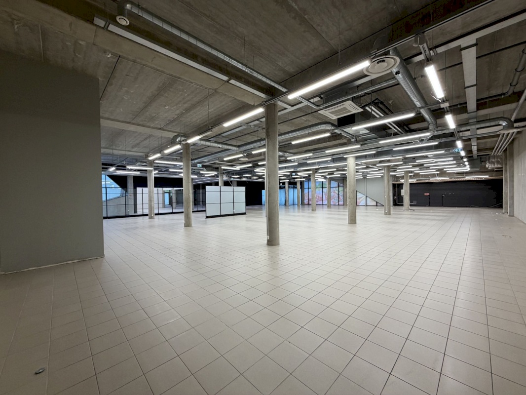 Saaremaa vald, Kuressaare linn, Merikotka 1