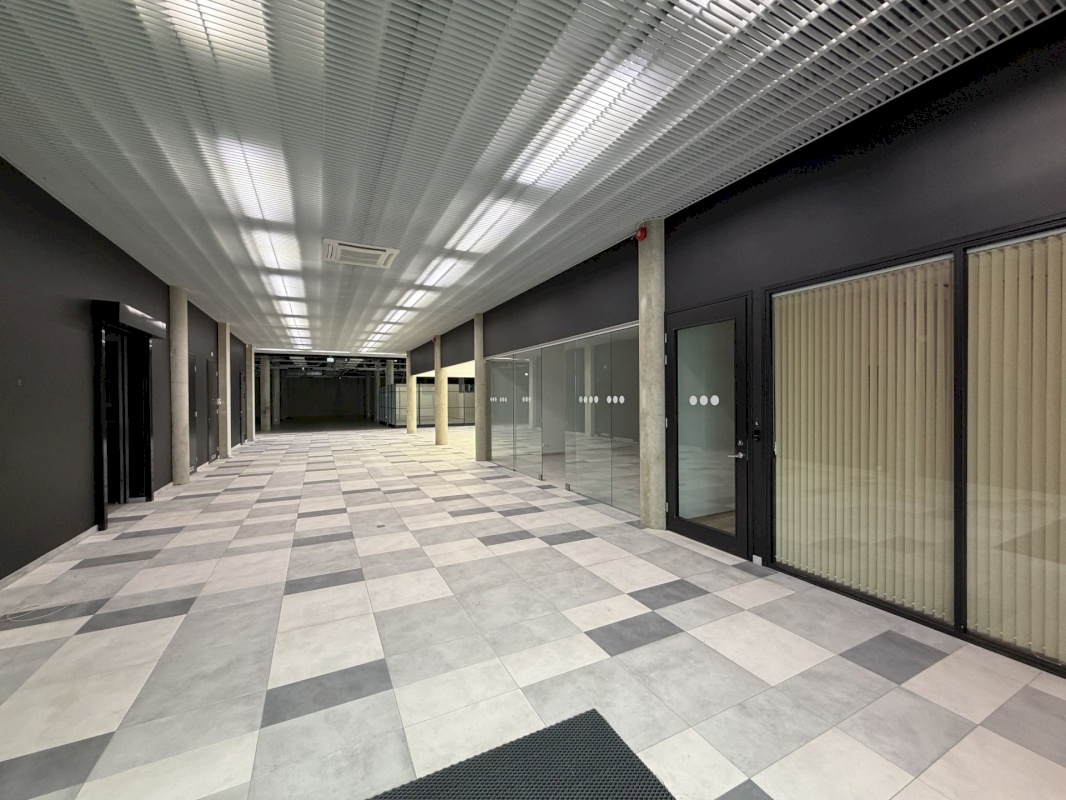 Saaremaa vald, Kuressaare linn, Merikotka 1