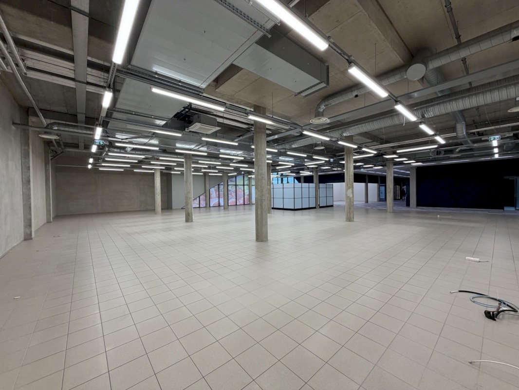 Saaremaa vald, Kuressaare linn, Merikotka 1