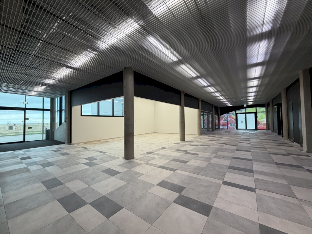 Saaremaa vald, Kuressaare linn, Merikotka 1