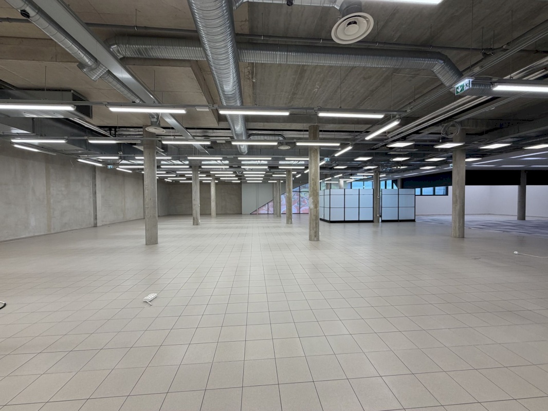 Saaremaa vald, Kuressaare linn, Merikotka 1